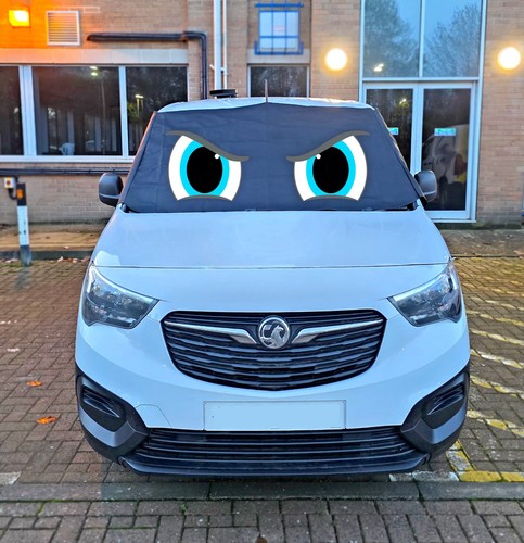 Citroen berlingo 2018 window - 2018,